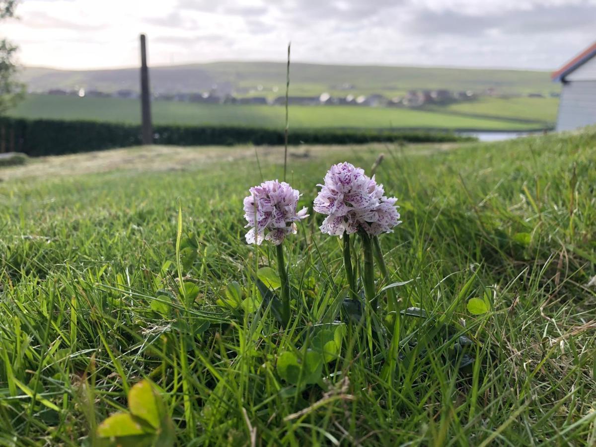 Easterhoull Chalets Scalloway Zewnętrze zdjęcie